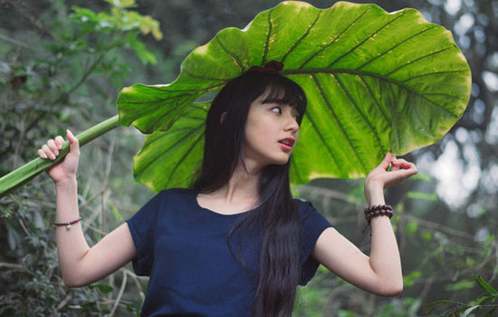 什么是DPL美容仪器？