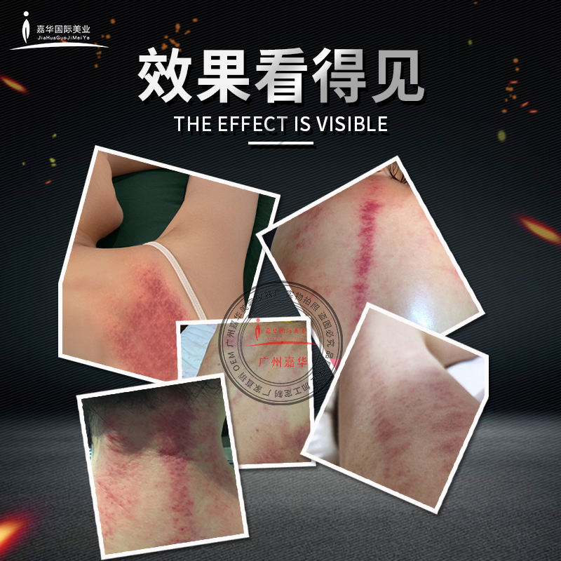 生命能量形体仪