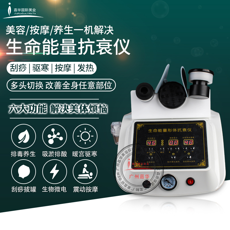 生命能量形体仪