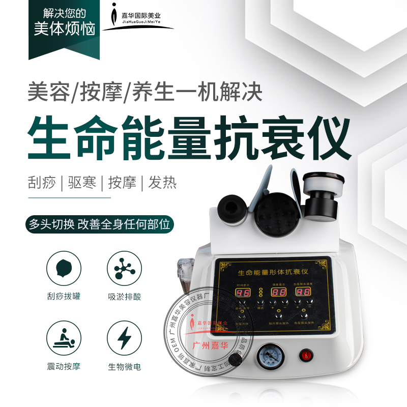 生命能量形体仪